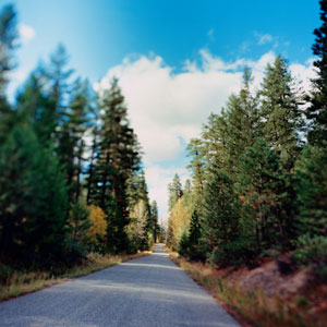 cloudroadforest08027