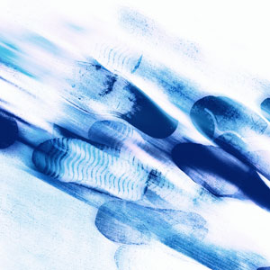 DigitalFootprintAA052362
